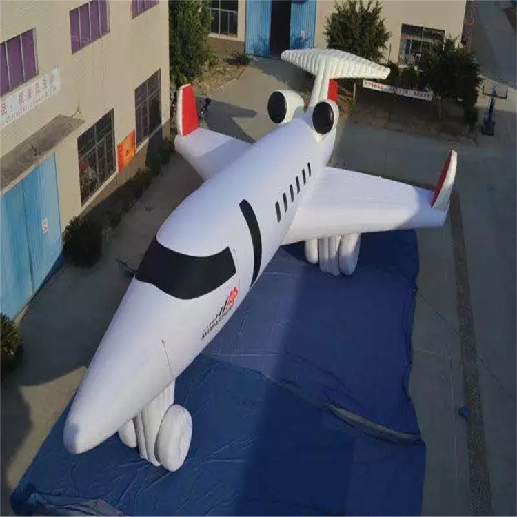 纳雍充气模型飞机